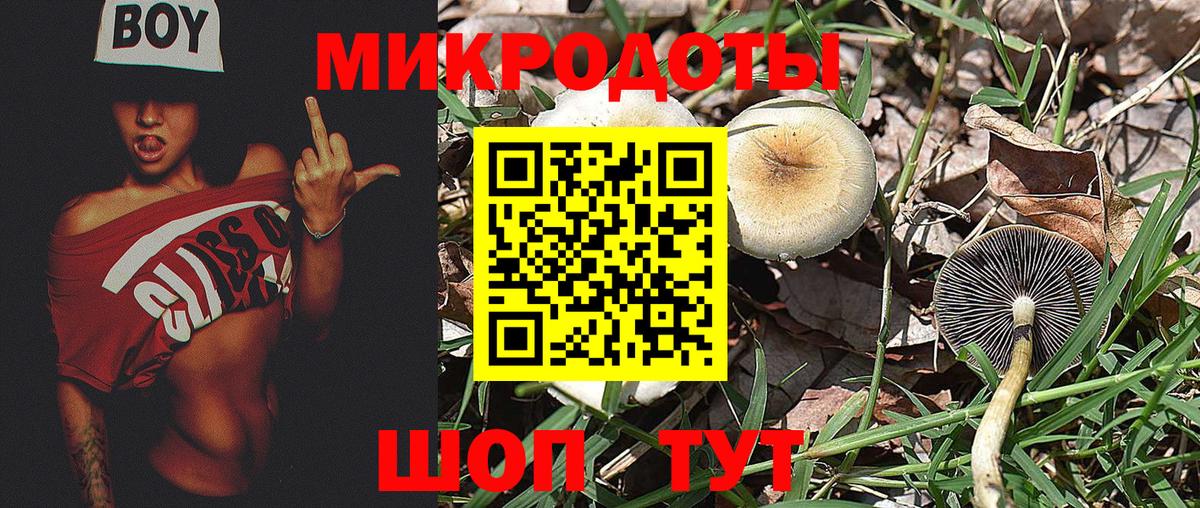 Галлюциногенные грибы MAGIC MUSHROOMS  Вход с VPN  Серпухов 